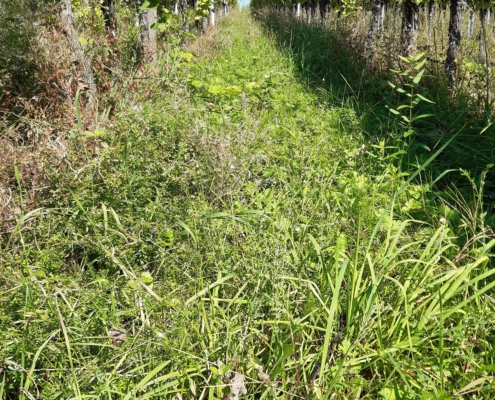 403c52d2-2412-43a1-8403-b4afb257f995