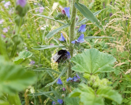 5cf17720-84c2-4e52-b35f-a08585b083f1