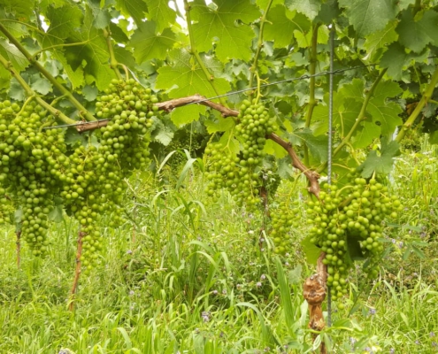 9eb865a9-d865-4d69-9807-7fbf76132ccc