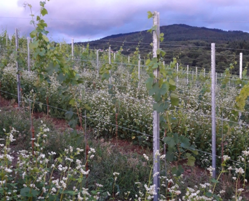 aeed74f7-0845-4040-acfd-df01ee092ec8