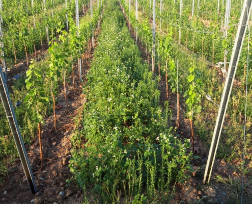 cc075ad9-037b-4c69-90e8-7a8d88fcc001