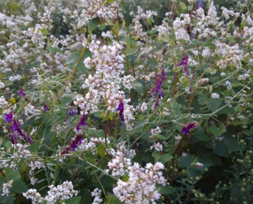 e2add21c-d0ce-4c3b-a0ad-8057e26b7212